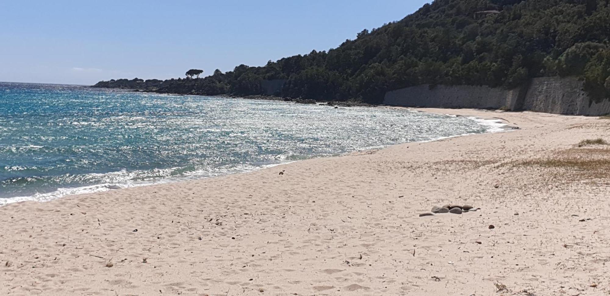 Auberge De Cannedda Sari-Solenzara Ruang foto