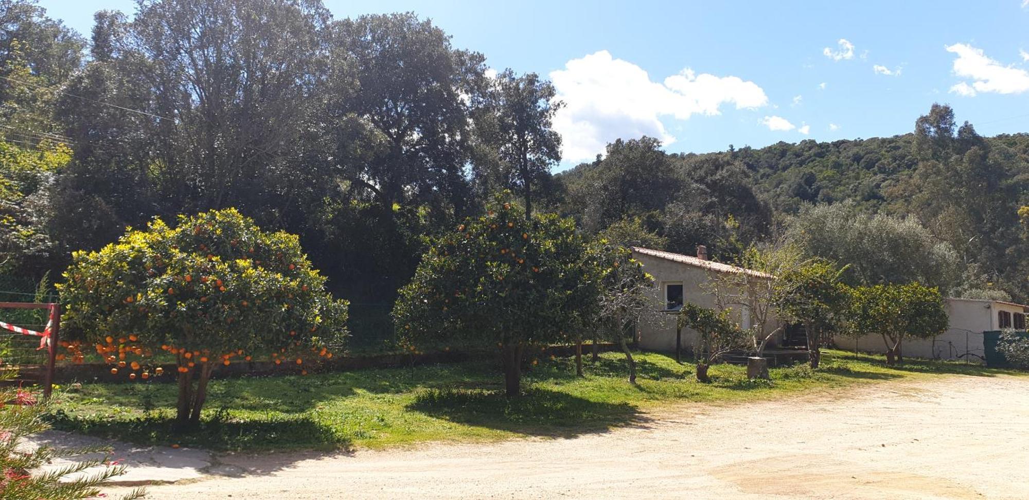 Auberge De Cannedda Sari-Solenzara Ruang foto