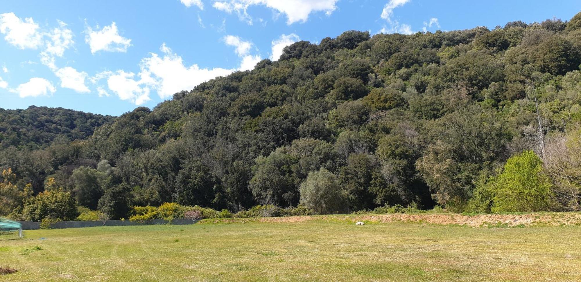 Auberge De Cannedda Sari-Solenzara Ruang foto